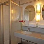 Alpin Hotell 4*