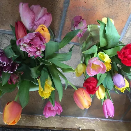 ホテル Alpin エールヴァルト