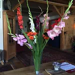 Hotel Alpin Ehrwald