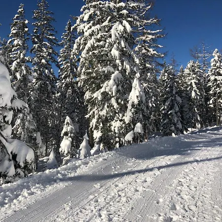 Alpin