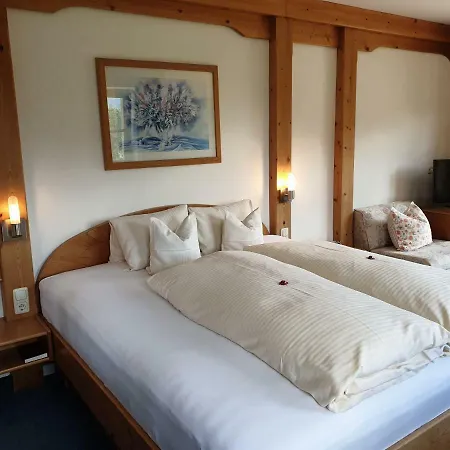 Hotel Alpin 4*